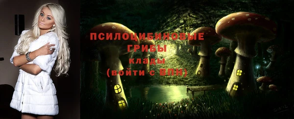 гидра Абаза