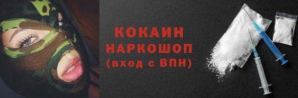 гидра Абаза