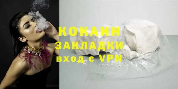 гидра Абаза