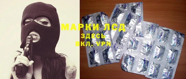 гидра Абаза