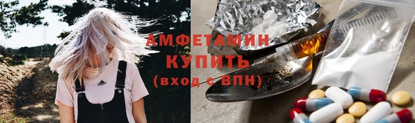 гидра Абаза