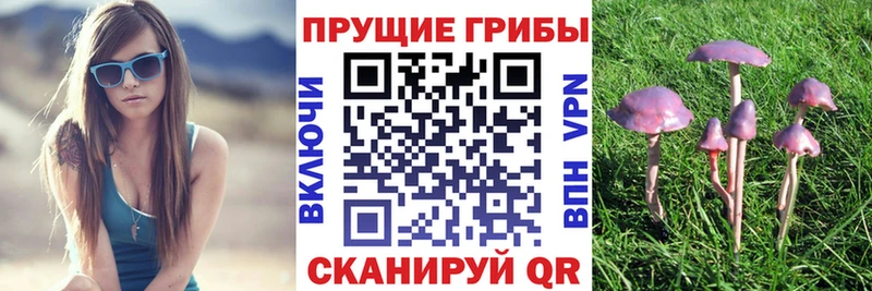 Галлюциногенные грибы Psilocybine cubensis  Стерлитамак 